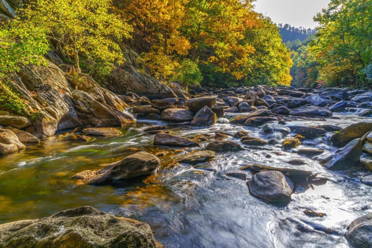 Bear Cub Retreat Apartment Gatlinburg Bagian luar foto