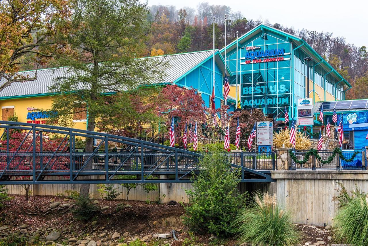 Bear Cub Retreat Apartment Gatlinburg Bagian luar foto