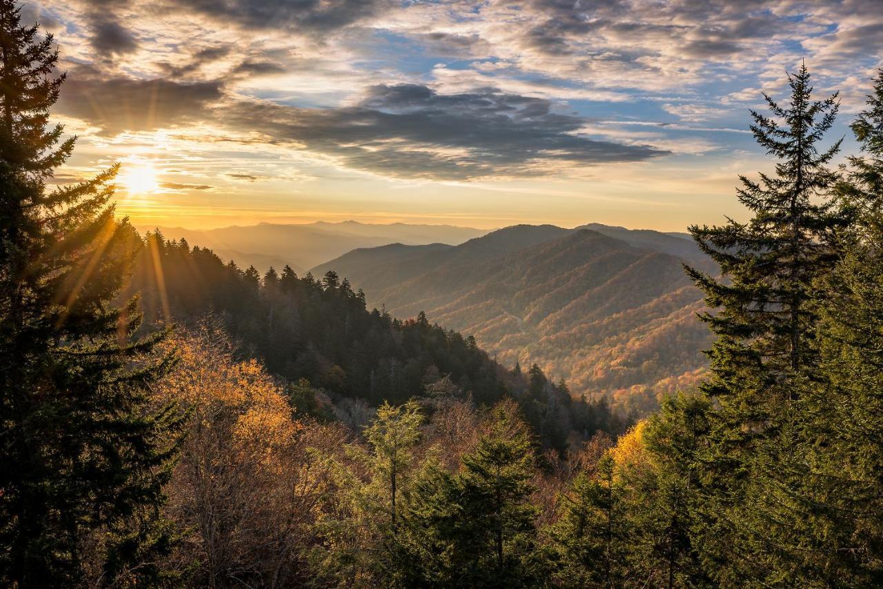 Bear Cub Retreat Apartment Gatlinburg Bagian luar foto