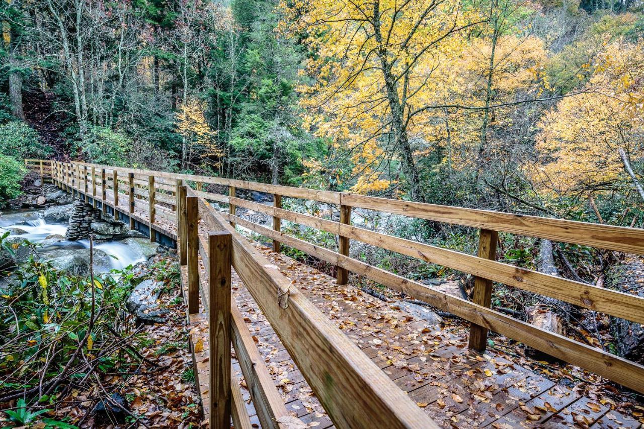 Bear Cub Retreat Apartment Gatlinburg Bagian luar foto
